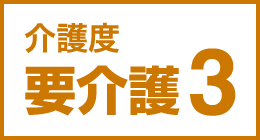 介護度要介護3