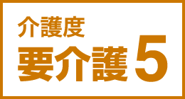 介護度要介護5